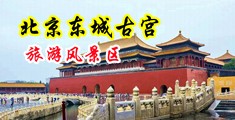奸淫熟妇中国北京-东城古宫旅游风景区